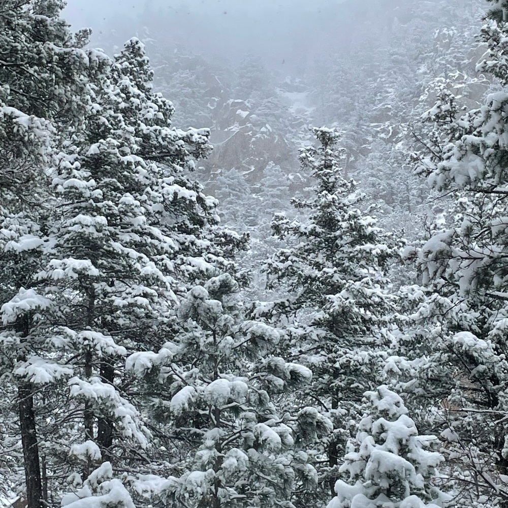 Meet your Posher, Liza